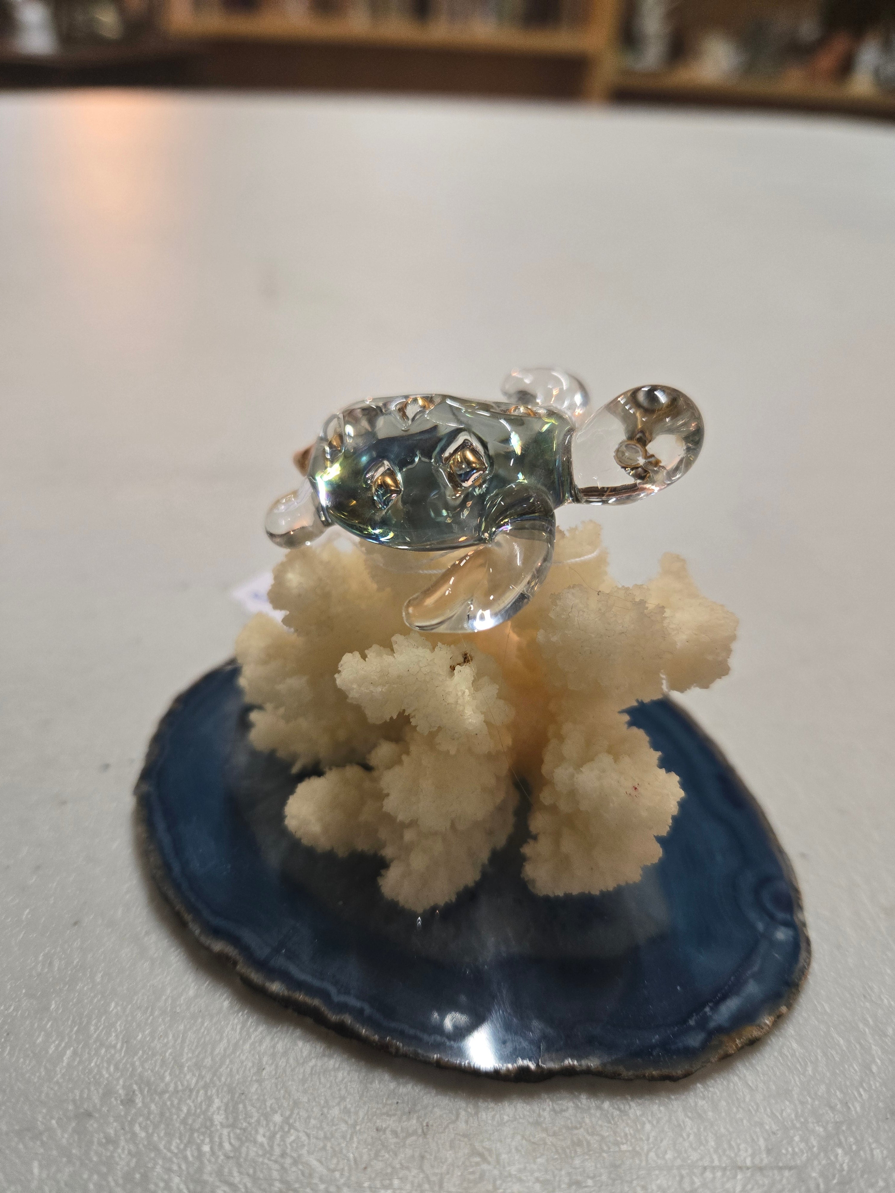 Glass turtle on white coral